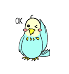 インコのピィちゃん（個別スタンプ：14）