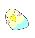 インコのピィちゃん（個別スタンプ：16）