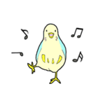 インコのピィちゃん（個別スタンプ：17）
