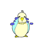 インコのピィちゃん（個別スタンプ：21）