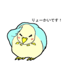 インコのピィちゃん（個別スタンプ：24）