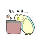 インコのピィちゃん（個別スタンプ：26）