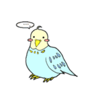 インコのピィちゃん（個別スタンプ：28）