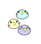 インコのピィちゃん（個別スタンプ：32）