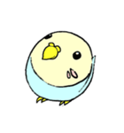 インコのピィちゃん（個別スタンプ：35）