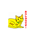 茶目っ猫 トッティーラ（個別スタンプ：28）