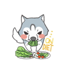 ITIM ＆ WANYEN by May Pitchy（個別スタンプ：16）