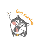 ITIM ＆ WANYEN by May Pitchy（個別スタンプ：17）