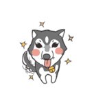 ITIM ＆ WANYEN by May Pitchy（個別スタンプ：18）