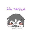 ITIM ＆ WANYEN by May Pitchy（個別スタンプ：19）