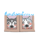ITIM ＆ WANYEN by May Pitchy（個別スタンプ：35）