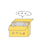 黒猫のチビくろ（個別スタンプ：1）