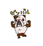 ブルドッグ中毒のブルドッグスタンプ☆（個別スタンプ：8）