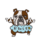 ブルドッグ中毒のブルドッグスタンプ☆（個別スタンプ：25）
