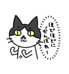 心の声だだ漏れ白黒猫のチョビ（個別スタンプ：9）