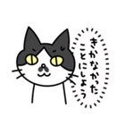 心の声だだ漏れ白黒猫のチョビ（個別スタンプ：16）