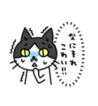 心の声だだ漏れ白黒猫のチョビ（個別スタンプ：17）