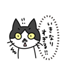 心の声だだ漏れ白黒猫のチョビ（個別スタンプ：18）