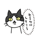 心の声だだ漏れ白黒猫のチョビ（個別スタンプ：22）