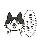 心の声だだ漏れ白黒猫のチョビ（個別スタンプ：38）