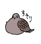 キジバトくん（個別スタンプ：8）
