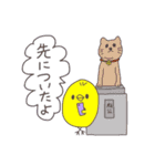 ピヨピヨ（個別スタンプ：34）