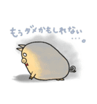 うわさのトン吉（個別スタンプ：7）