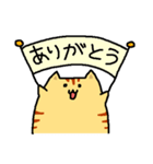 とらねこさん。（個別スタンプ：31）