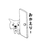 チワコロ（個別スタンプ：5）