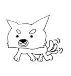 チワコロ（個別スタンプ：7）