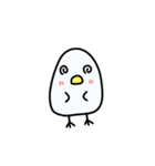 白い小鳥（個別スタンプ：35）