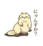 生意気ペルシャ 第1弾（個別スタンプ：8）