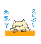 生意気ペルシャ 第1弾（個別スタンプ：15）