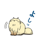 生意気ペルシャ 第1弾（個別スタンプ：24）