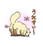 生意気ペルシャ 第1弾（個別スタンプ：26）