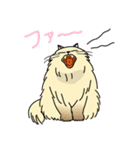 生意気ペルシャ 第1弾（個別スタンプ：39）