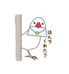 その名は文鳥（個別スタンプ：18）