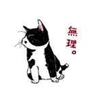 白黒こねこず（個別スタンプ：11）