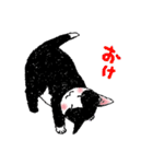 白黒こねこず（個別スタンプ：32）