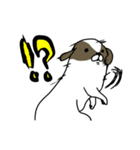 長めの犬（個別スタンプ：13）