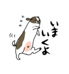 長めの犬（個別スタンプ：32）