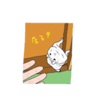 しろじろうくん（個別スタンプ：22）