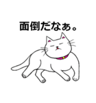 さり気ない返事を返す猫のスタンプ（個別スタンプ：31）