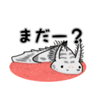 魅惑のポリプテルス（個別スタンプ：3）