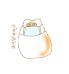 もちたぬ2（個別スタンプ：29）