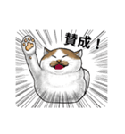 あっネコがいる！（個別スタンプ：3）