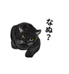あっネコがいる！（個別スタンプ：33）