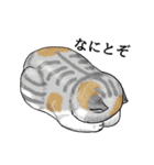 あっネコがいる！（個別スタンプ：39）
