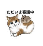 あっネコがいる！（個別スタンプ：40）