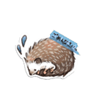 ぺたっとはりねずみ（個別スタンプ：17）